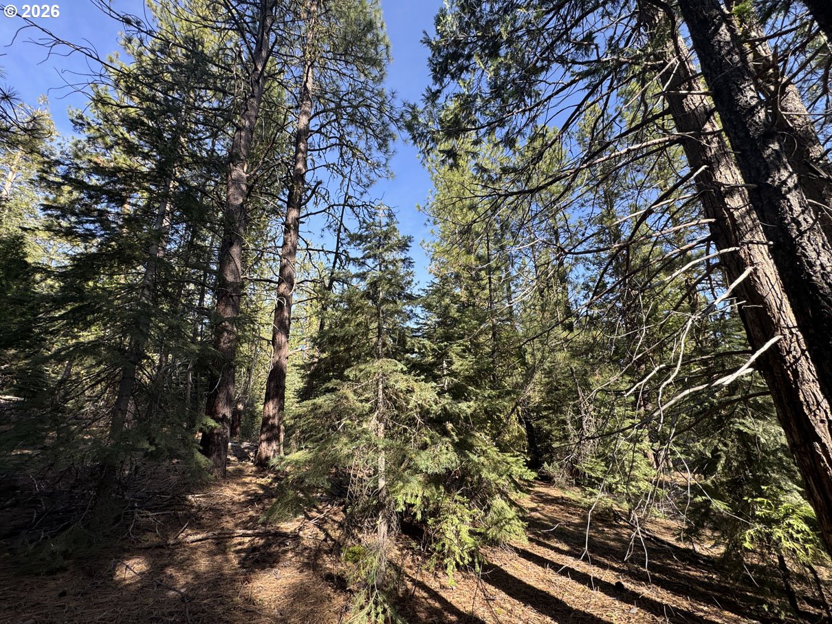 Cardinal Drive, Unit 4 Bonanza, OR 97623 - Photo 30 of 41