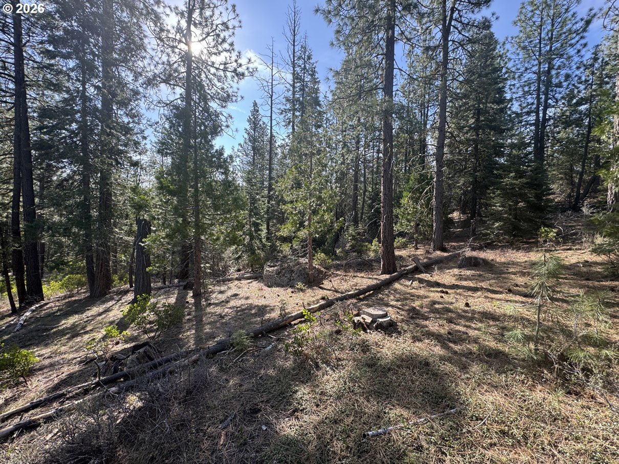 Cardinal Drive, Unit 4 Bonanza, OR 97623 - Photo 3 of 41