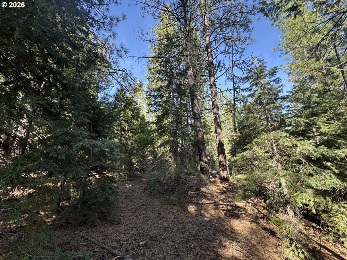 Cardinal Drive, Unit 4 Bonanza, OR 97623 - Photo 31 of 41