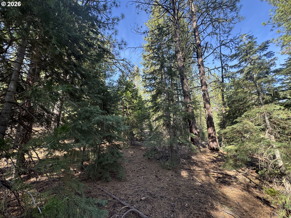 Cardinal Drive, Unit 4 Bonanza, OR 97623 - Photo 32 of 41