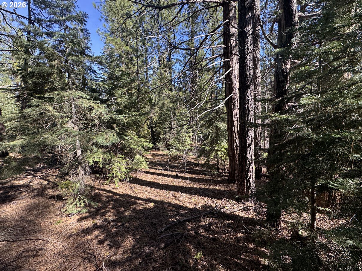 Cardinal Drive, Unit 4 Bonanza, OR 97623 - Photo 33 of 41