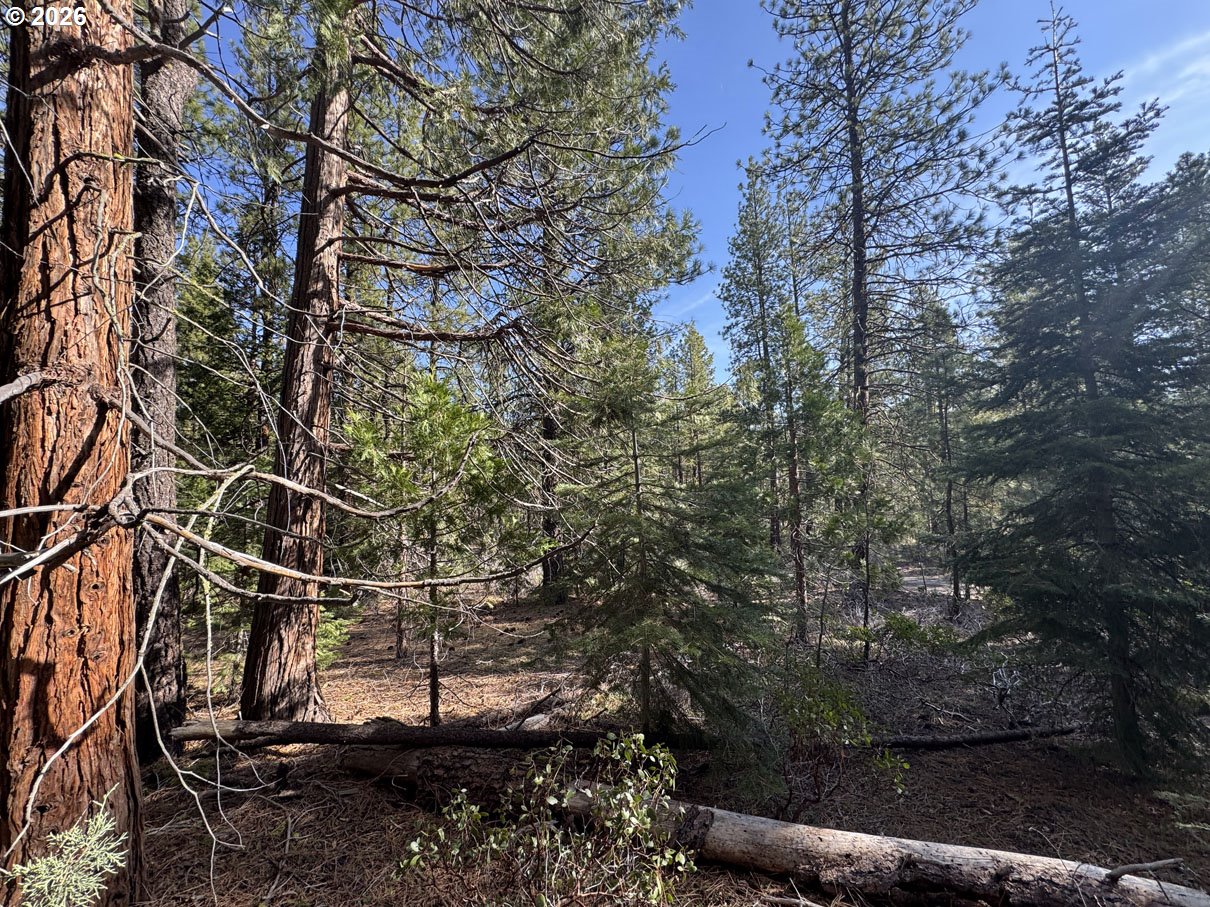 Cardinal Drive, Unit 4 Bonanza, OR 97623 - Photo 34 of 41