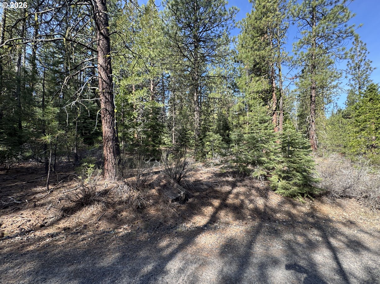 Cardinal Drive, Unit 4 Bonanza, OR 97623 - Photo 36 of 41