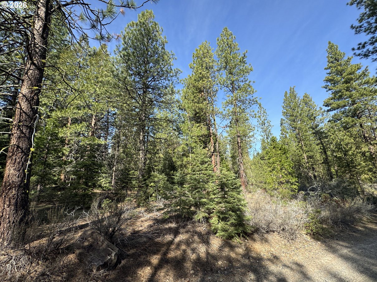 Cardinal Drive, Unit 4 Bonanza, OR 97623 - Photo 39 of 41