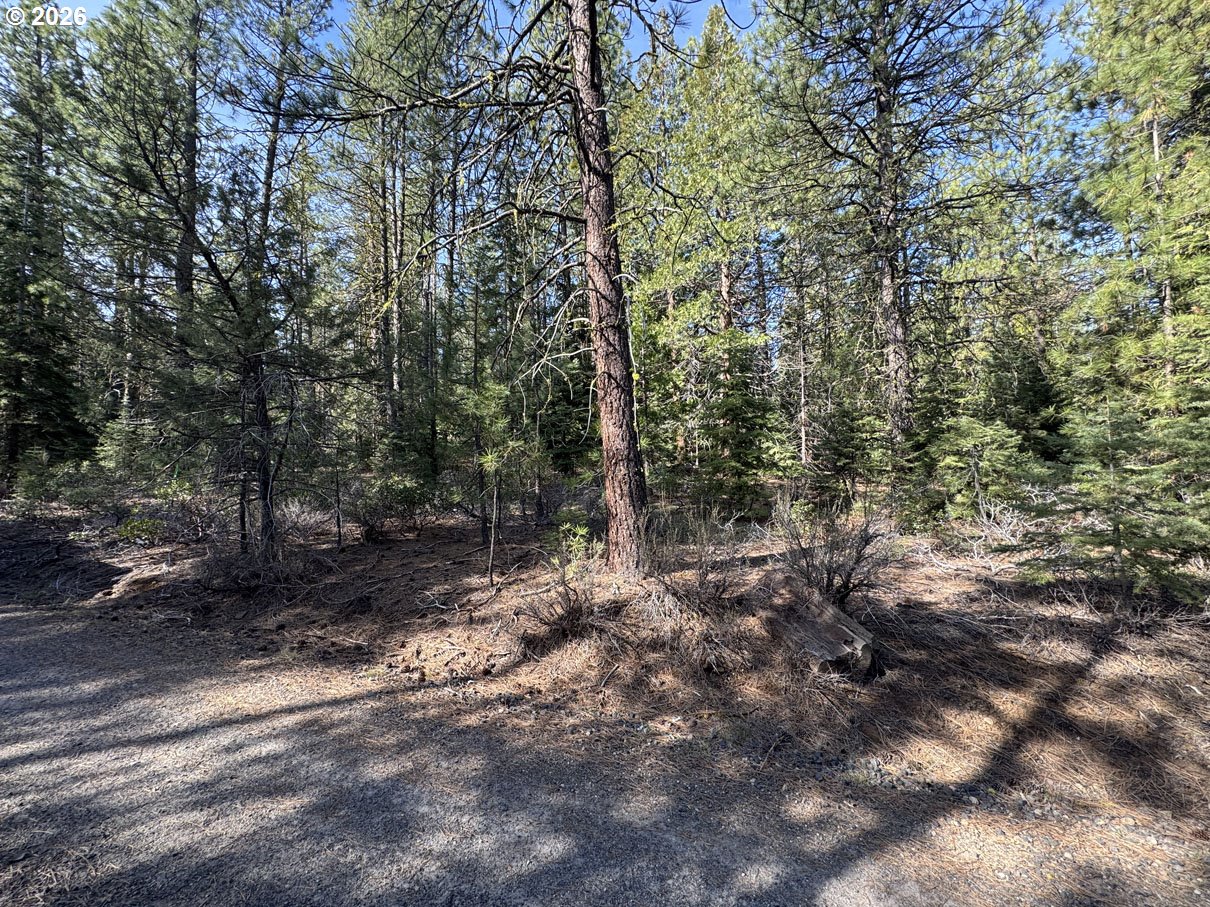 Cardinal Drive, Unit 4 Bonanza, OR 97623 - Photo 40 of 41