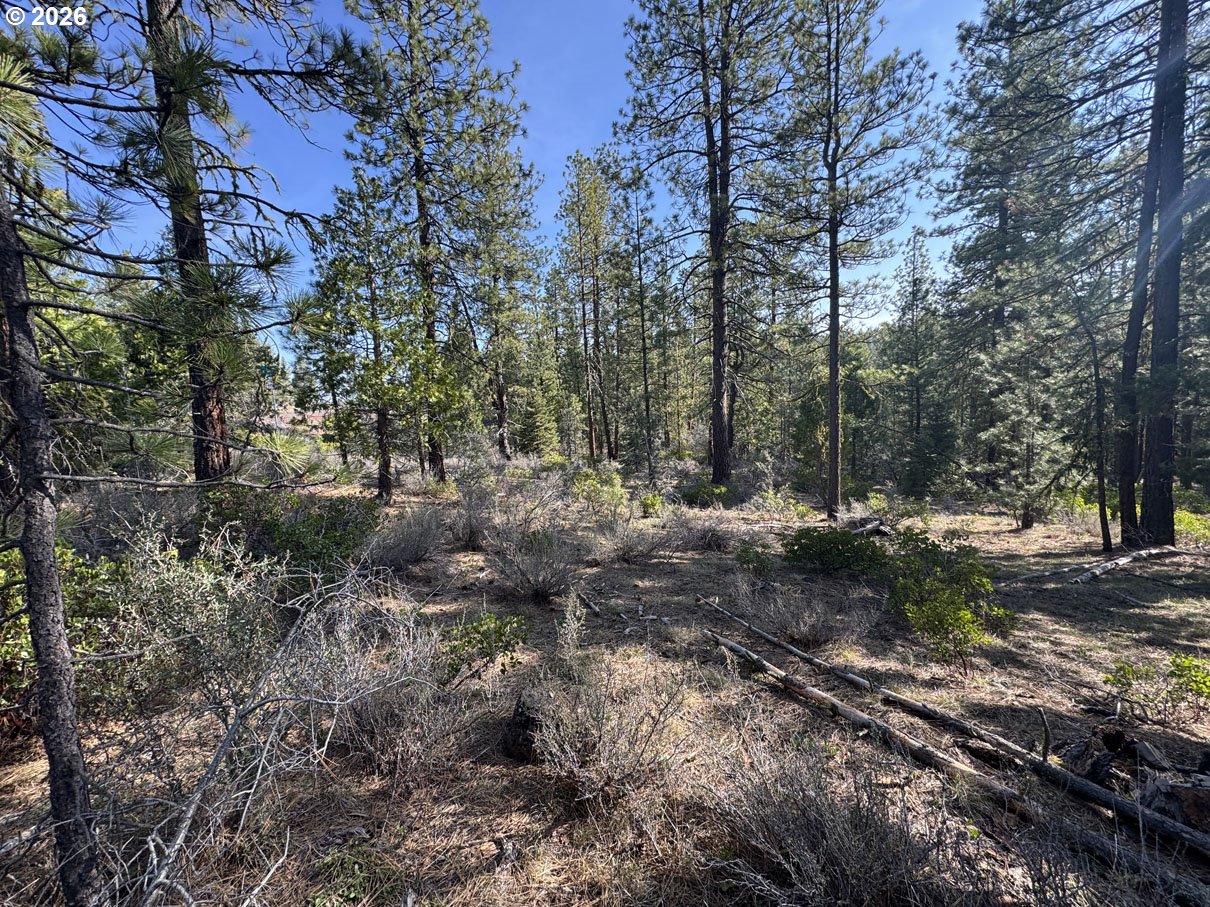 Cardinal Drive, Unit 4 Bonanza, OR 97623 - Photo 4 of 41