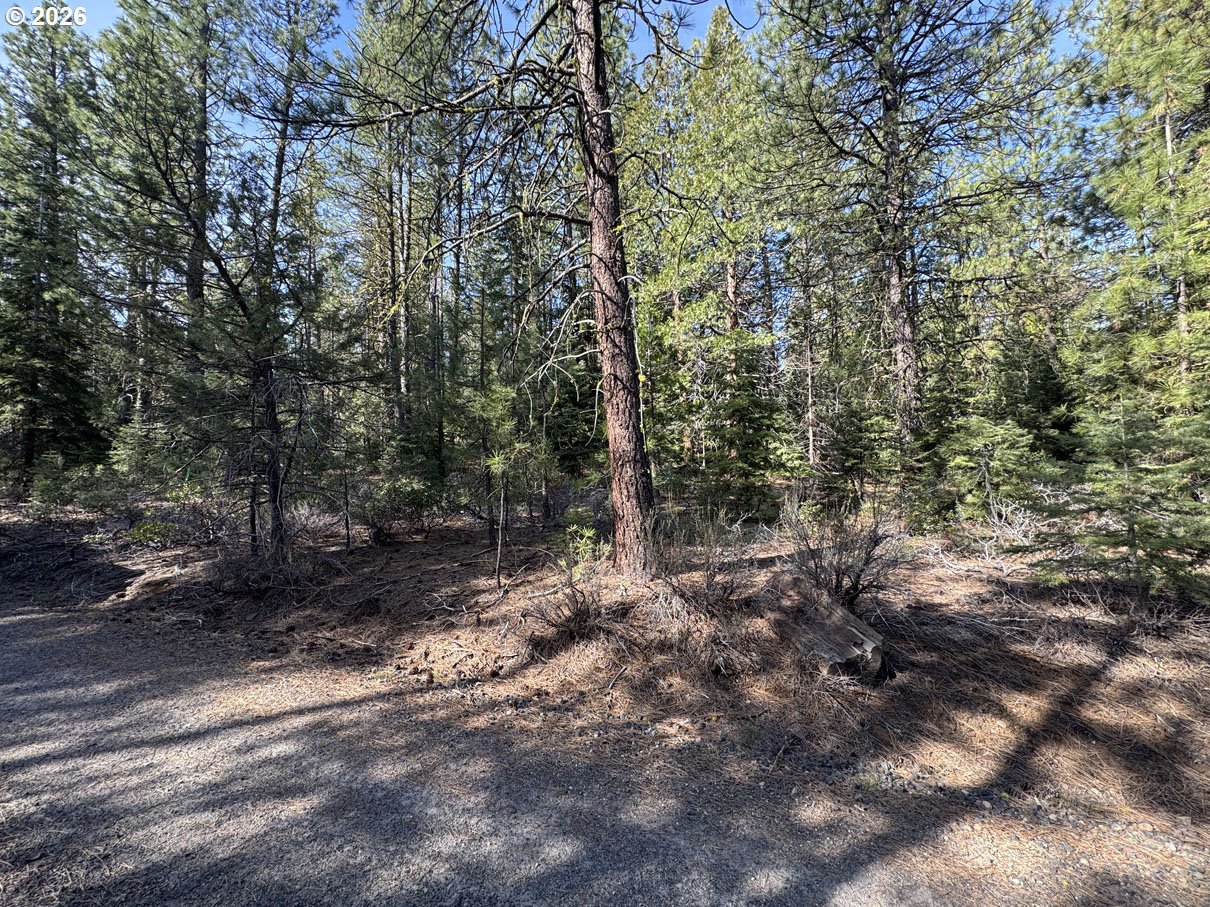 Cardinal Drive, Unit 4 Bonanza, OR 97623 - Photo 41 of 41