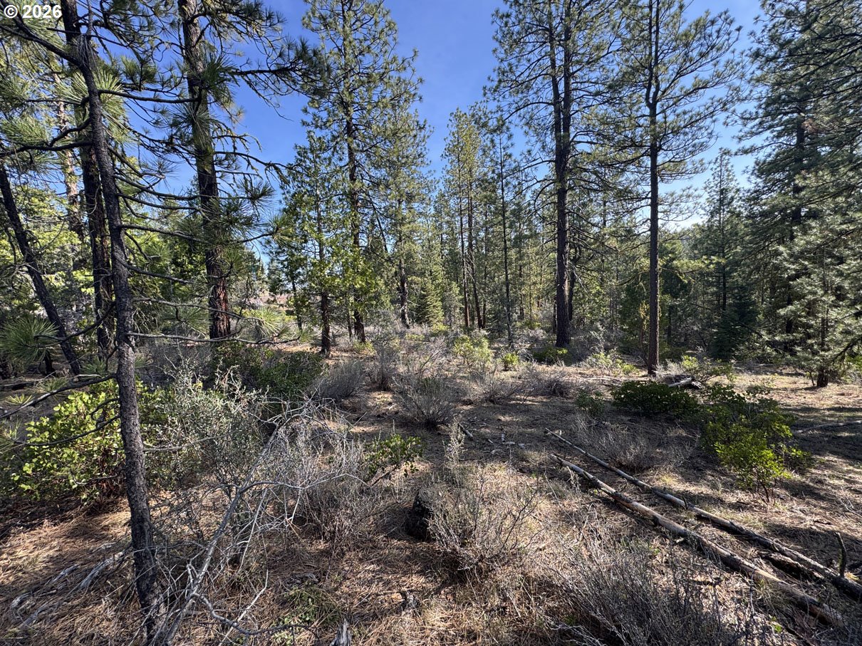 Cardinal Drive, Unit 4 Bonanza, OR 97623 - Photo 5 of 41