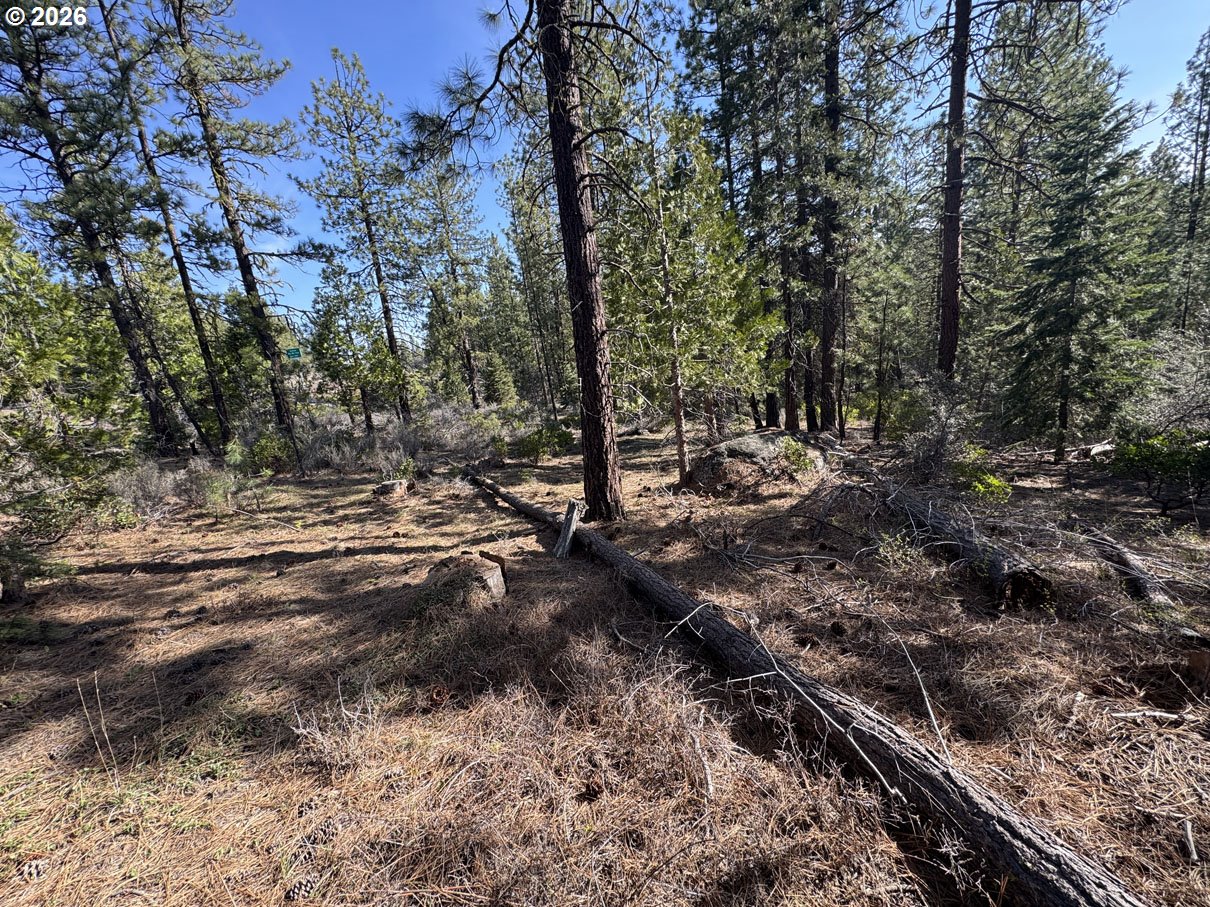 Cardinal Drive, Unit 4 Bonanza, OR 97623 - Photo 6 of 41