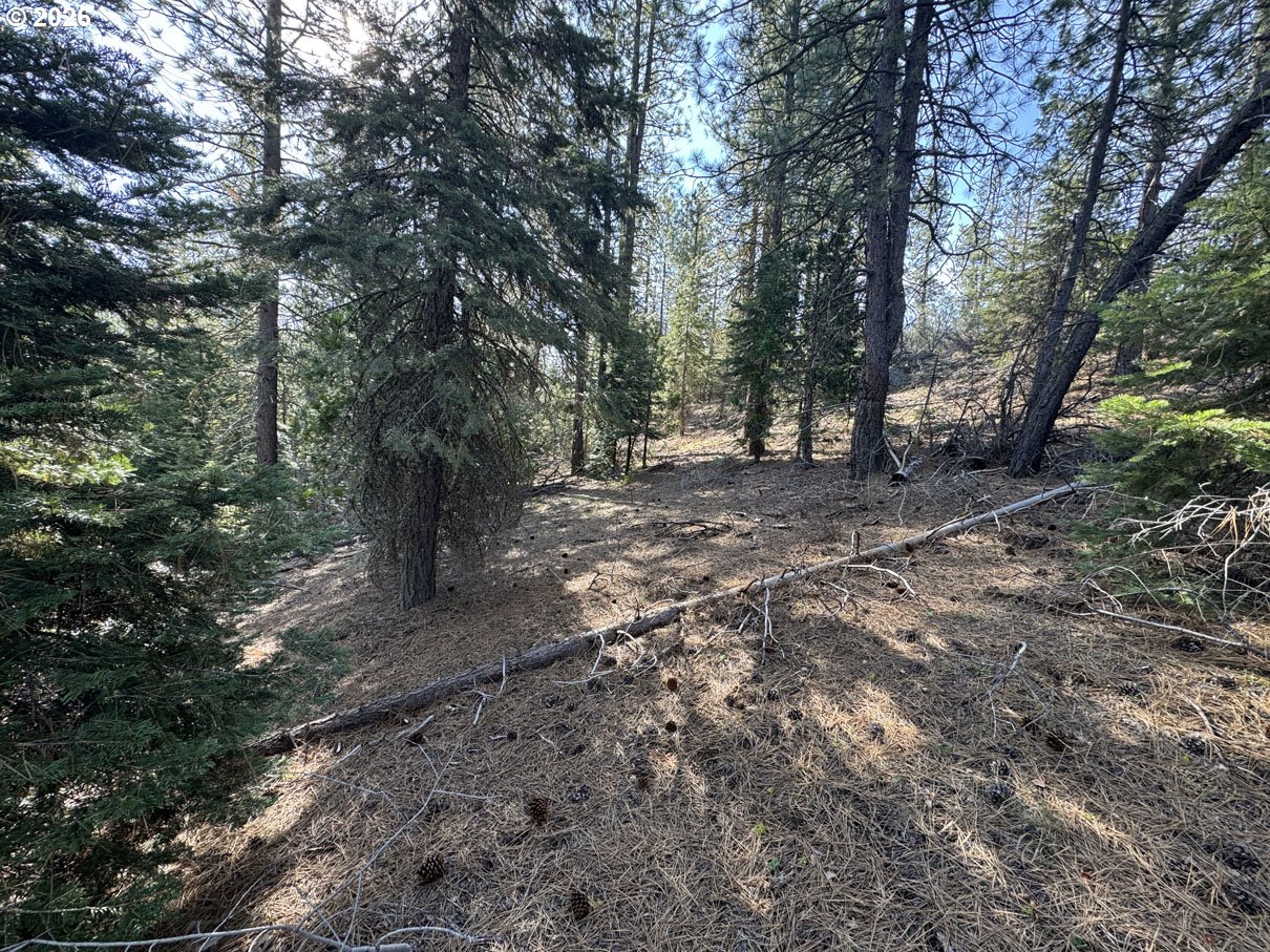 Cardinal Drive, Unit 4 Bonanza, OR 97623 - Photo 7 of 41