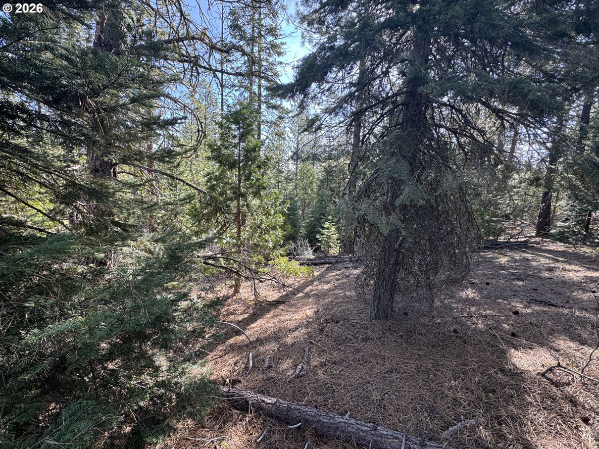 Cardinal Drive, Unit 4 Bonanza, OR 97623 - Photo 8 of 41