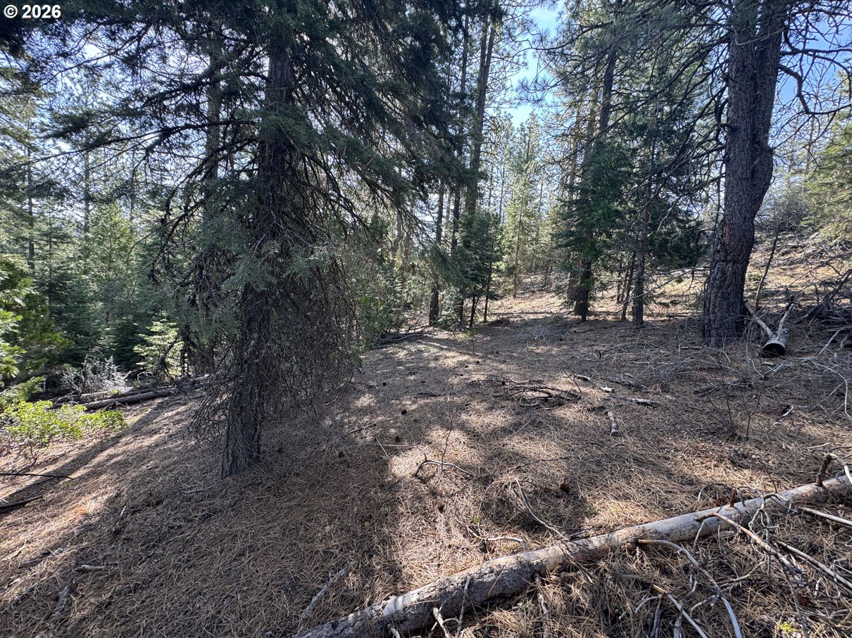 Cardinal Drive, Unit 4 Bonanza, OR 97623 - Photo 9 of 41