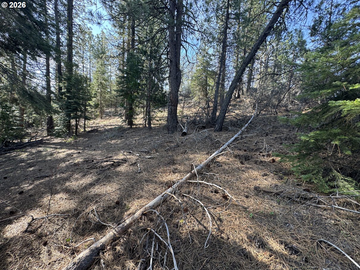 Cardinal Drive, Unit 4 Bonanza, OR 97623 - Photo 10 of 41