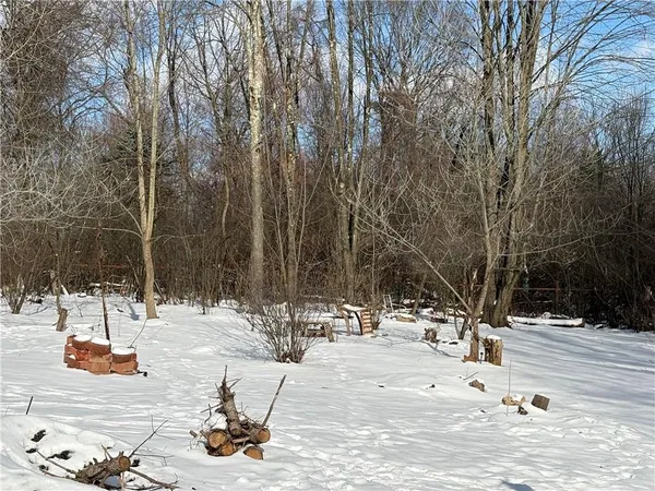 a view of road with trees