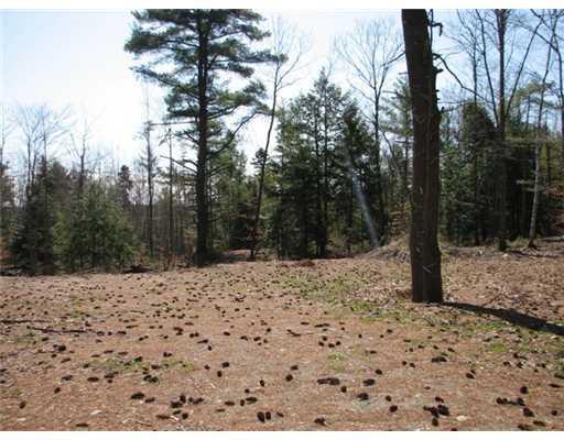 Lot#3 Pattee Pond Road Winslow, ME 04901 - Photo 4 of 11 Land/Lot. Sunrise in the backyard