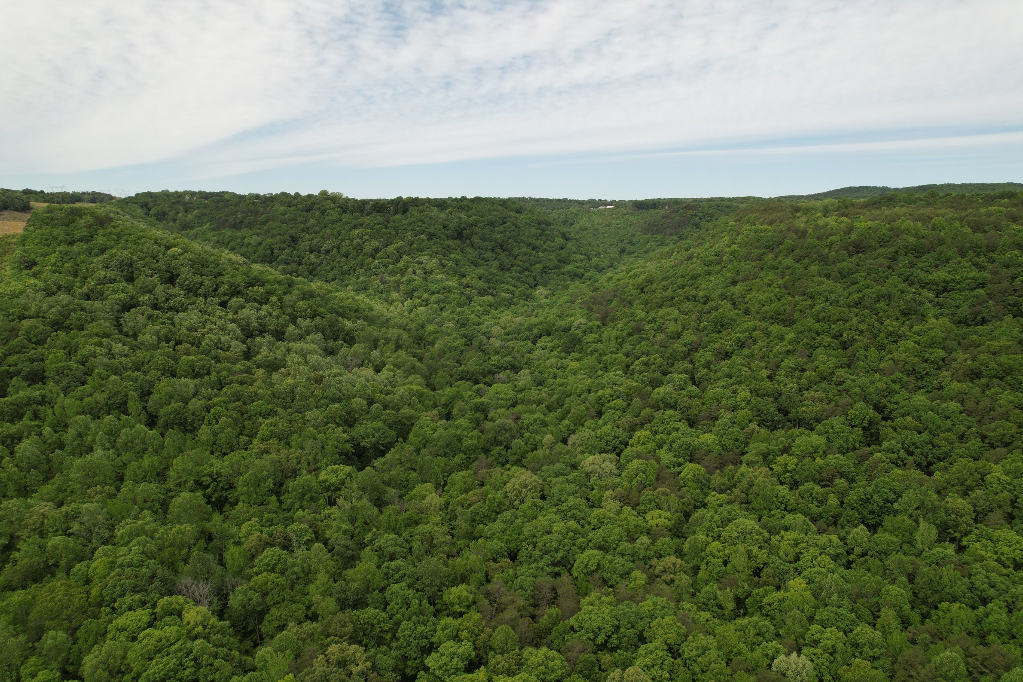 0 Murphy Hollow Road Trenton, GA 30752 - Photo 11 of 15
