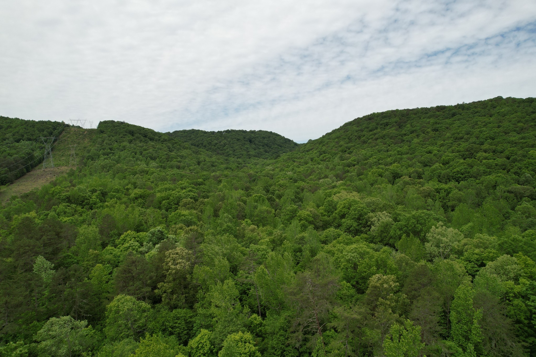 0 Murphy Hollow Road Trenton, GA 30752 - Photo 10 of 15 a view of a lush green mountain with a mountain in the background