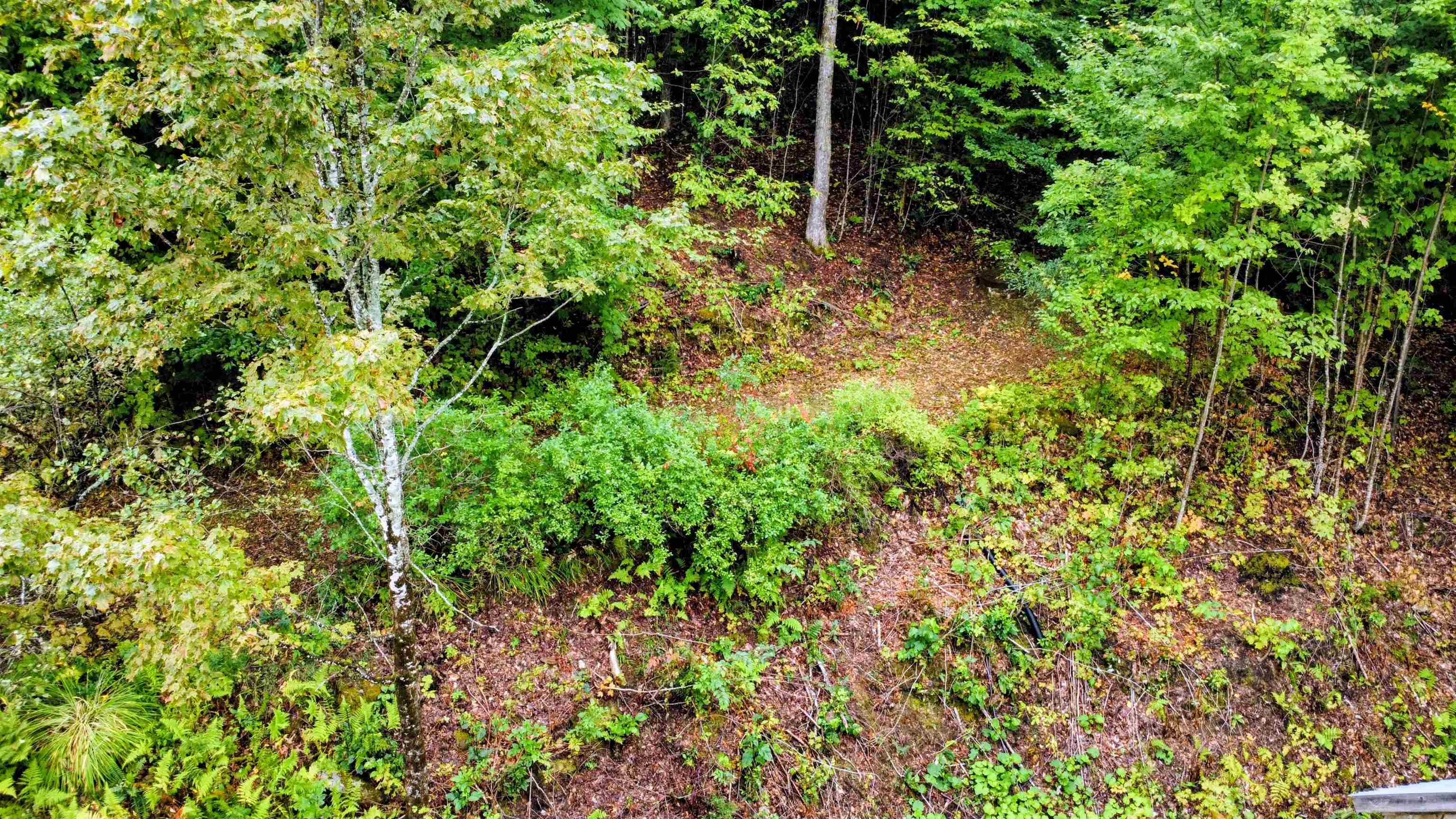 3781 Maplewood Road Corinth, VT 05086 - Photo 18 of 41