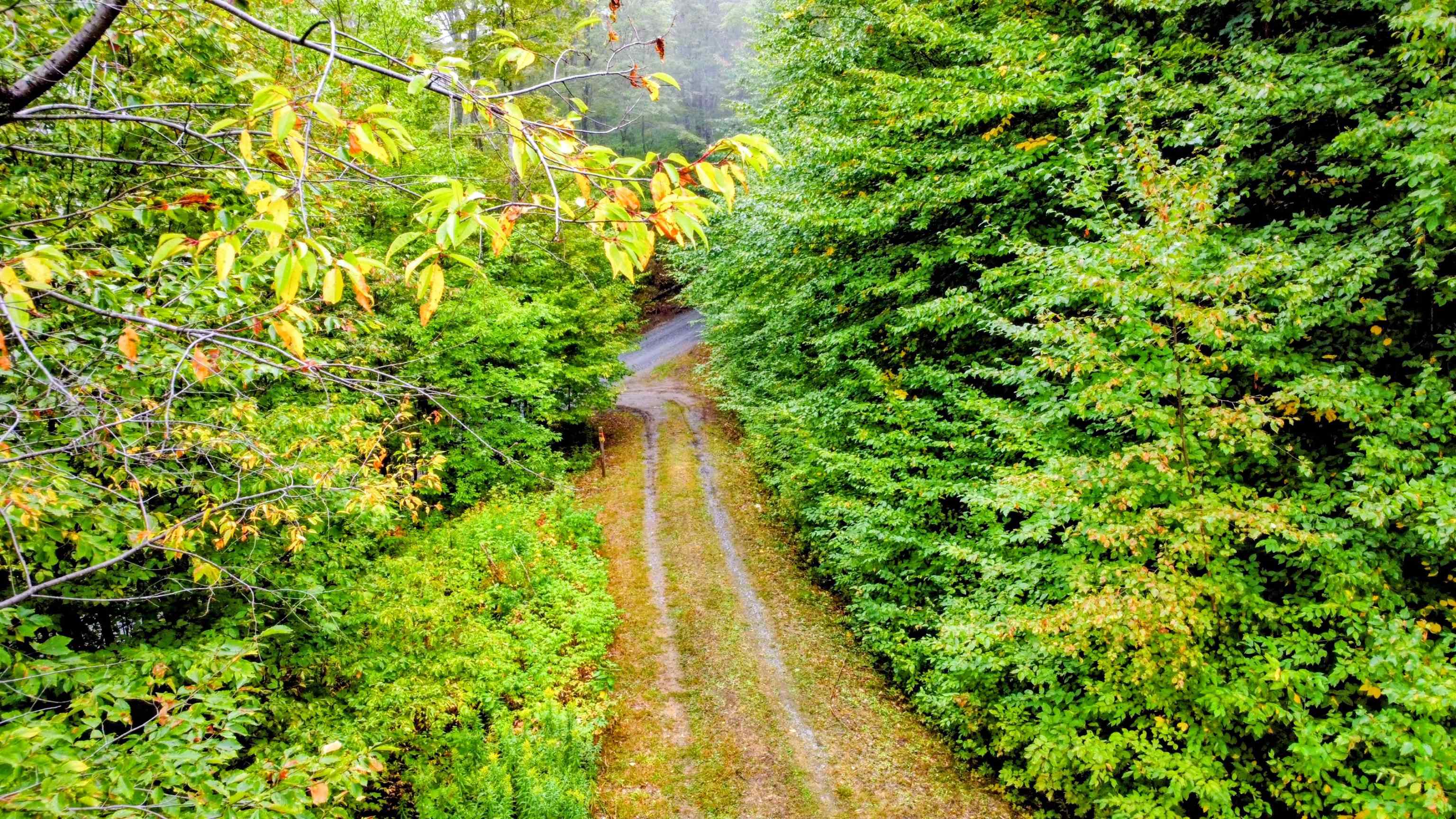 3781 Maplewood Road Corinth, VT 05086 - Photo 20 of 41