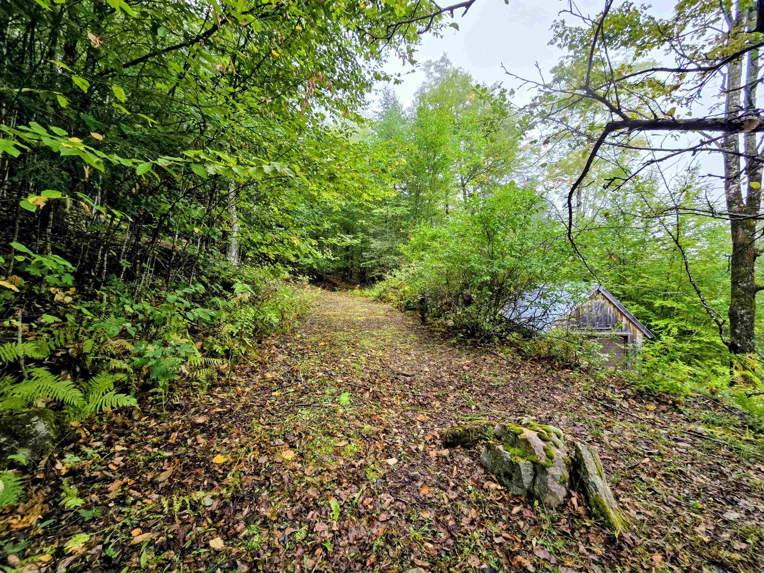 3781 Maplewood Road Corinth, VT 05086 - Photo 24 of 41