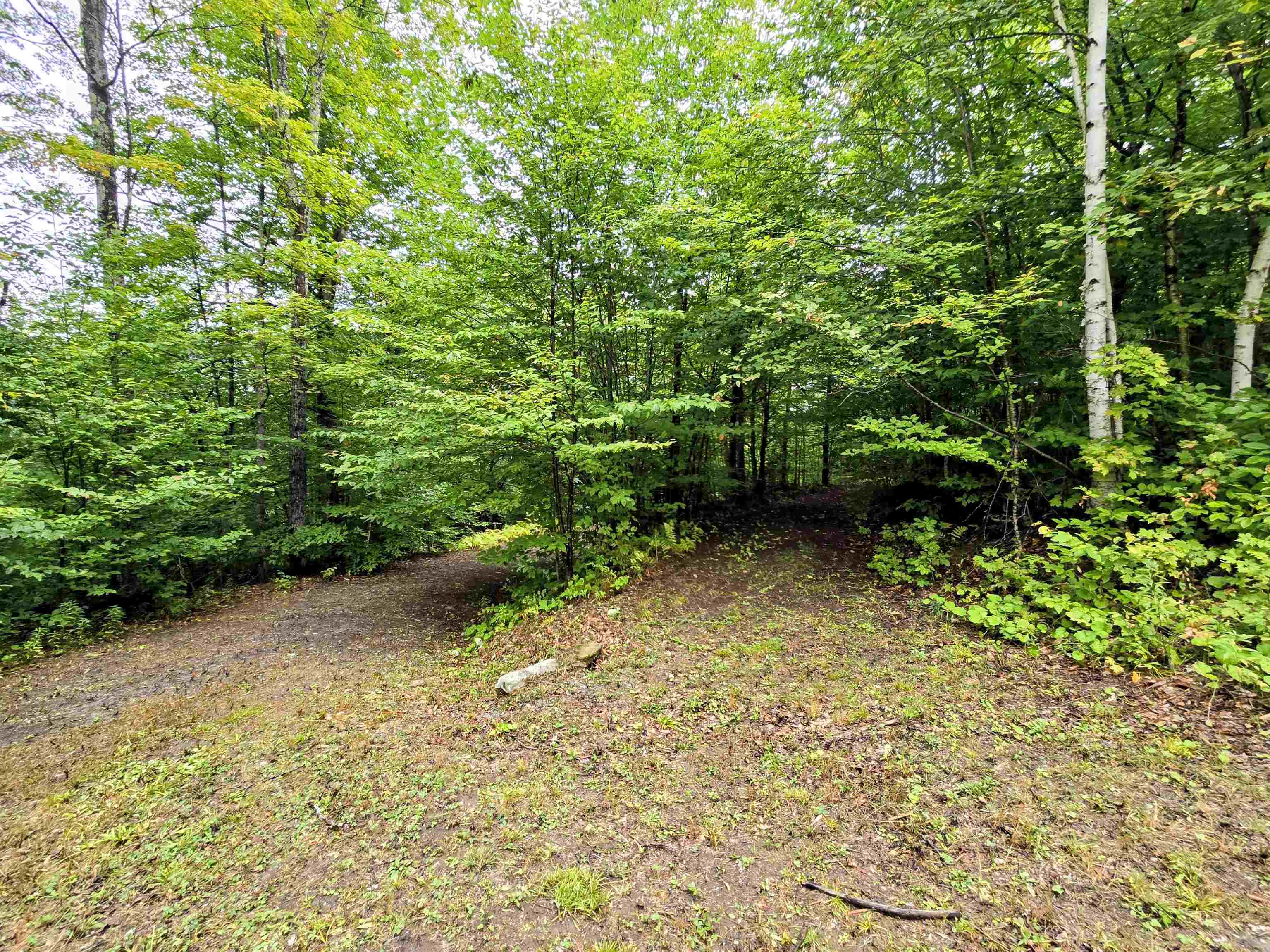 3781 Maplewood Road Corinth, VT 05086 - Photo 26 of 41