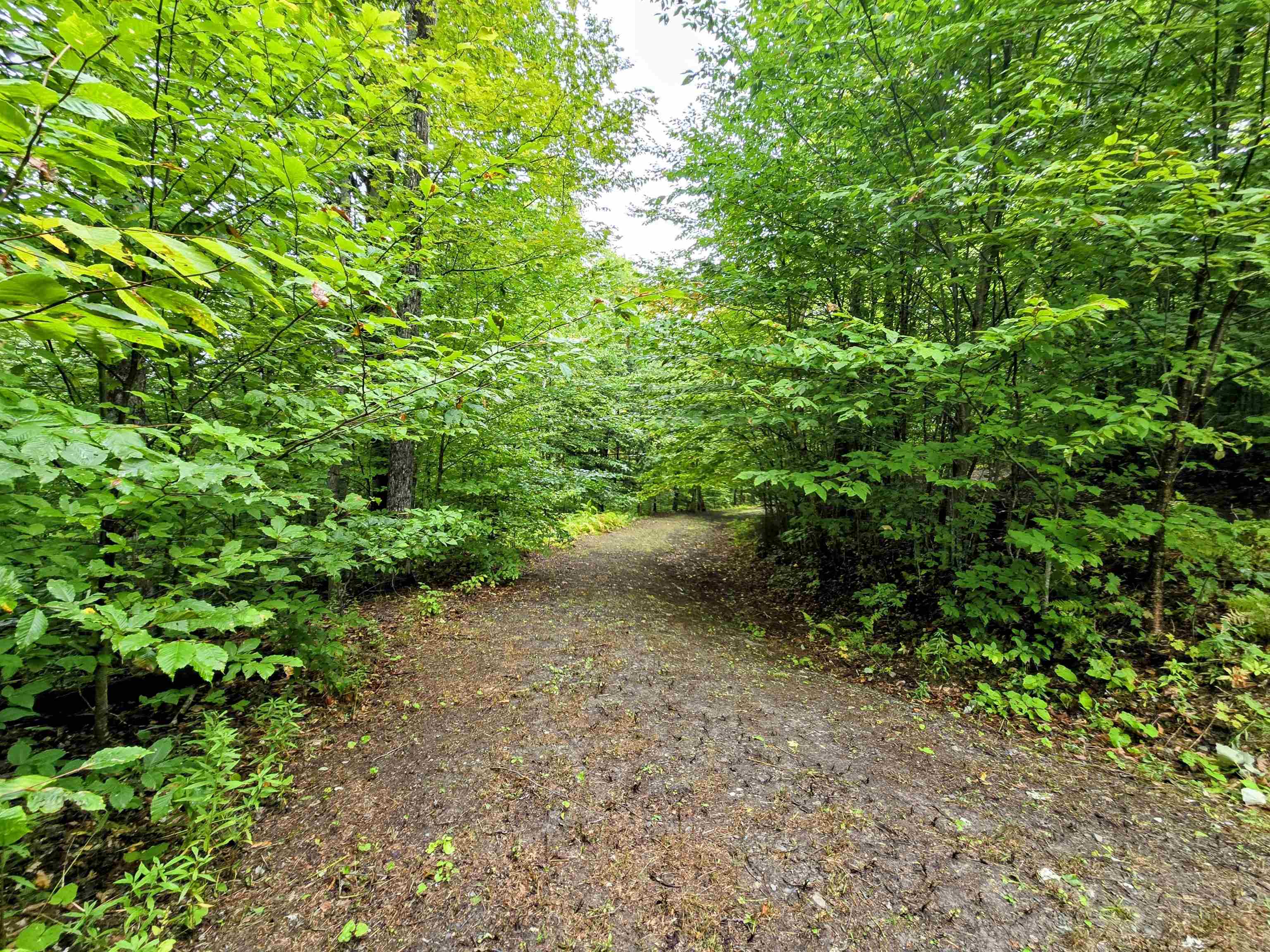3781 Maplewood Road Corinth, VT 05086 - Photo 27 of 41