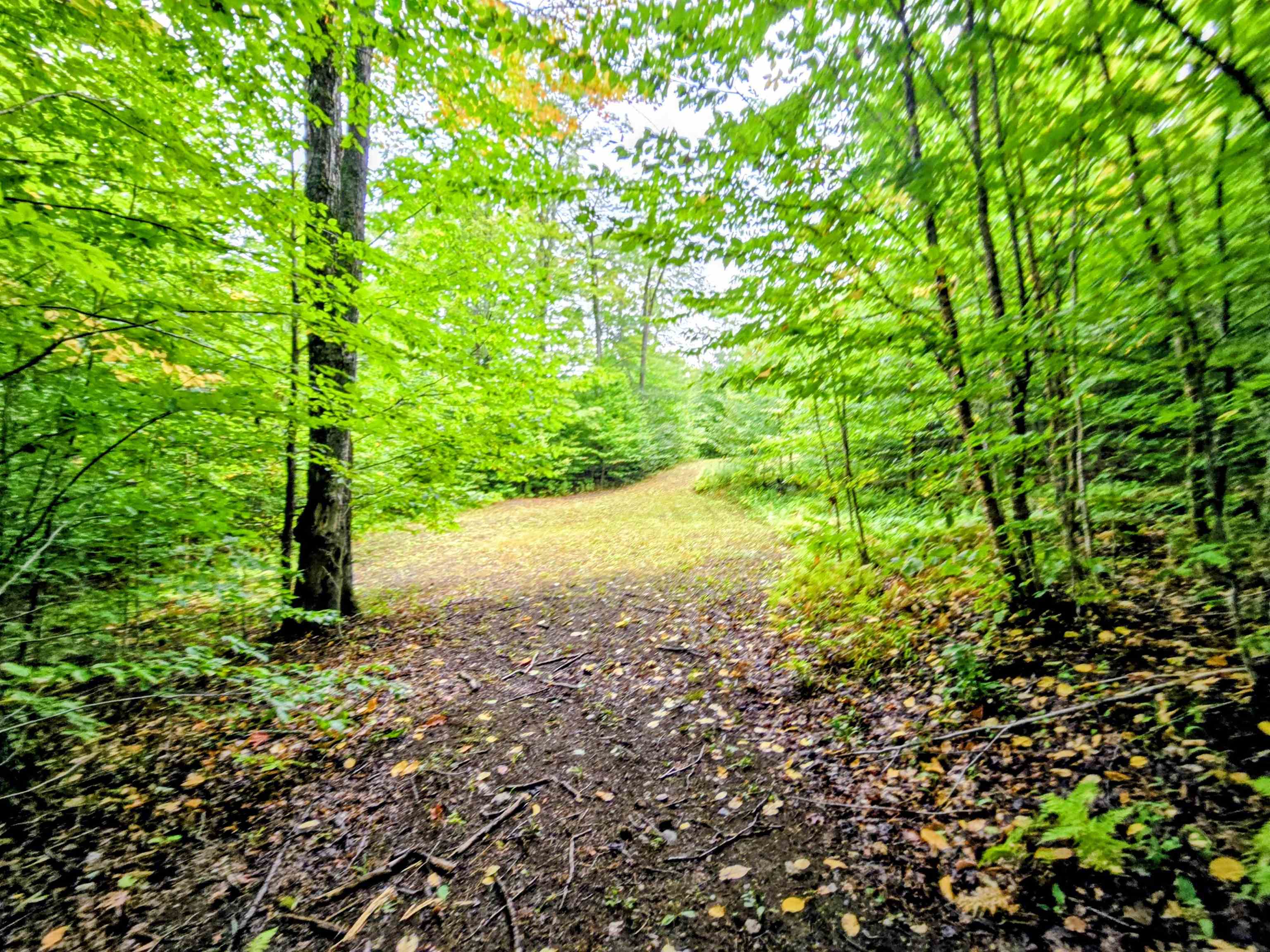 3781 Maplewood Road Corinth, VT 05086 - Photo 28 of 41
