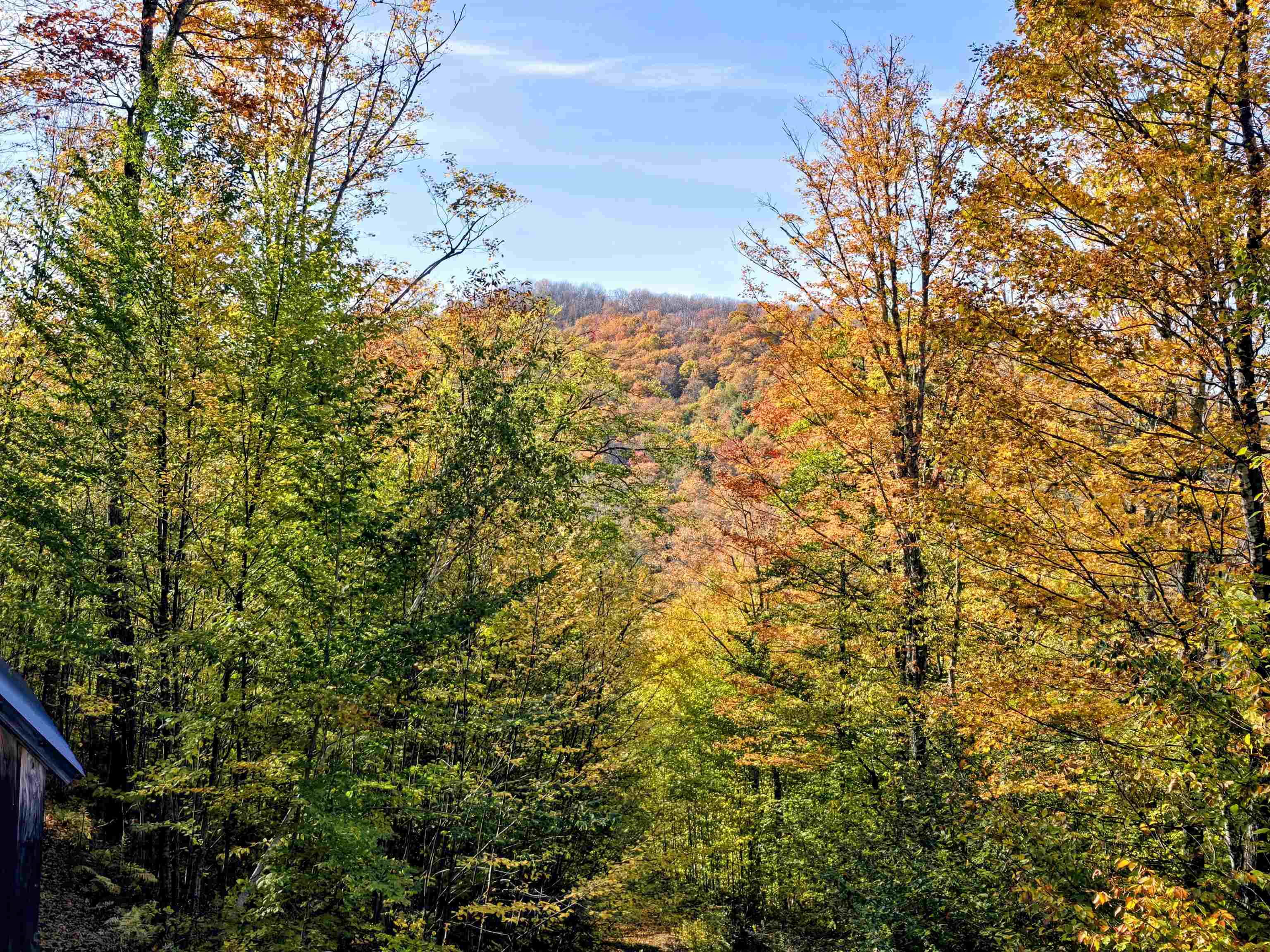3781 Maplewood Road Corinth, VT 05086 - Photo 3 of 41