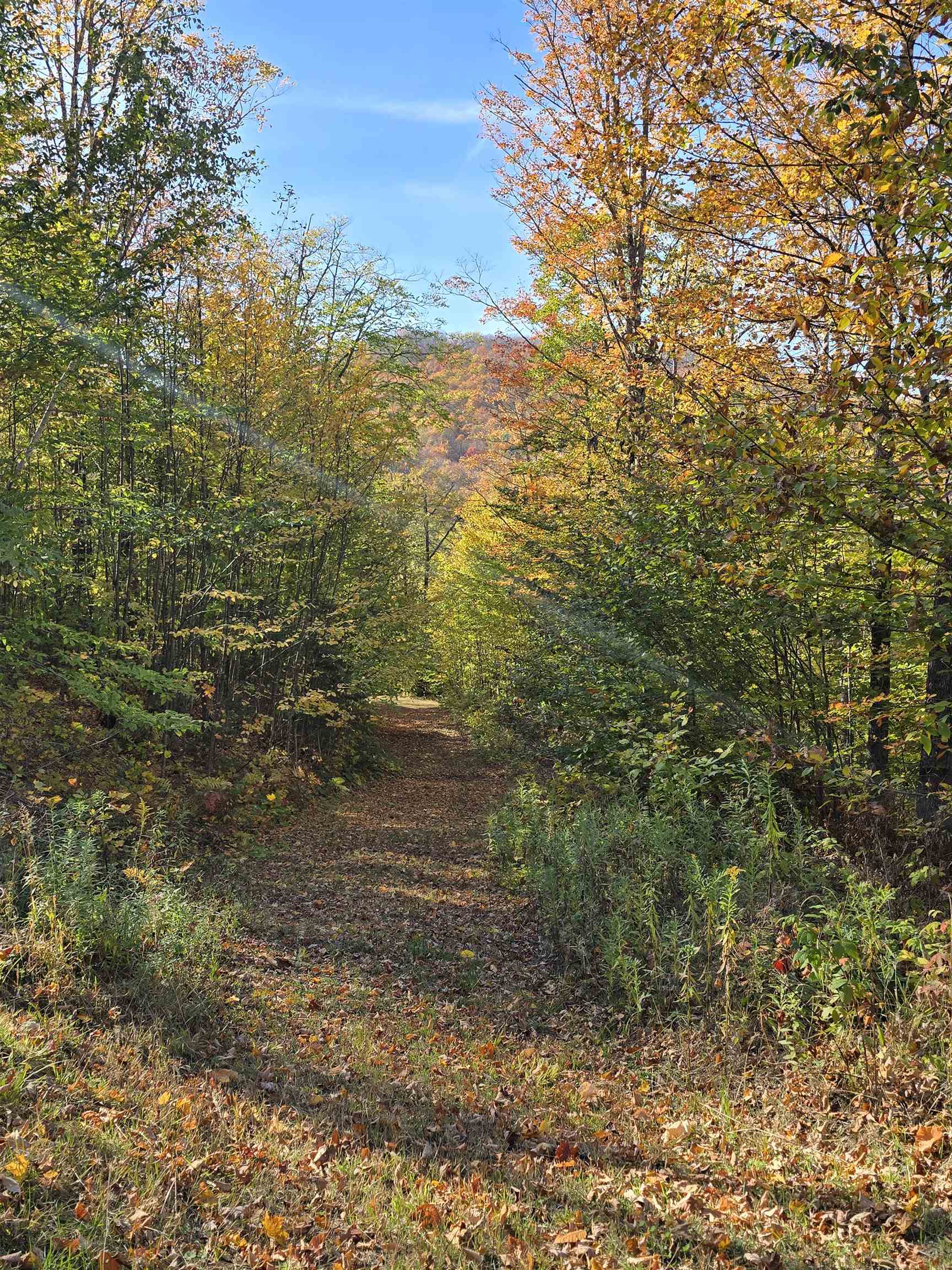 3781 Maplewood Road Corinth, VT 05086 - Photo 5 of 41