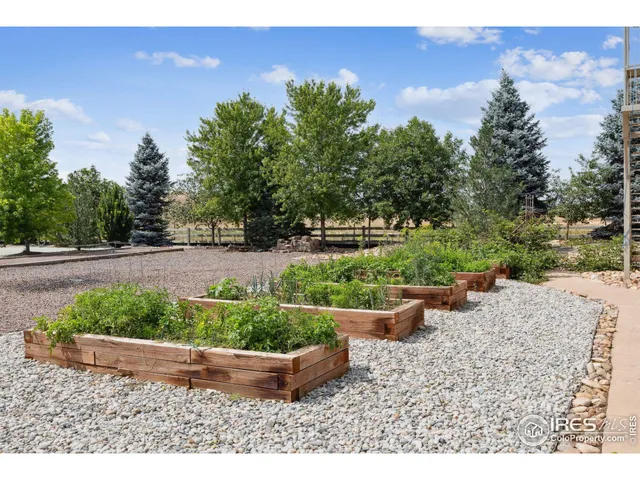 a view of a backyard with plants and outdoor seating