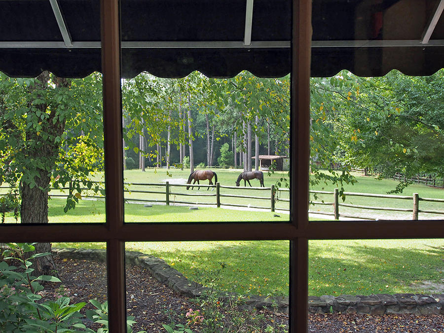 3705 Youngs Road Southern Pines, NC 28387 - Photo 23 of 36 Master Bedroom View
