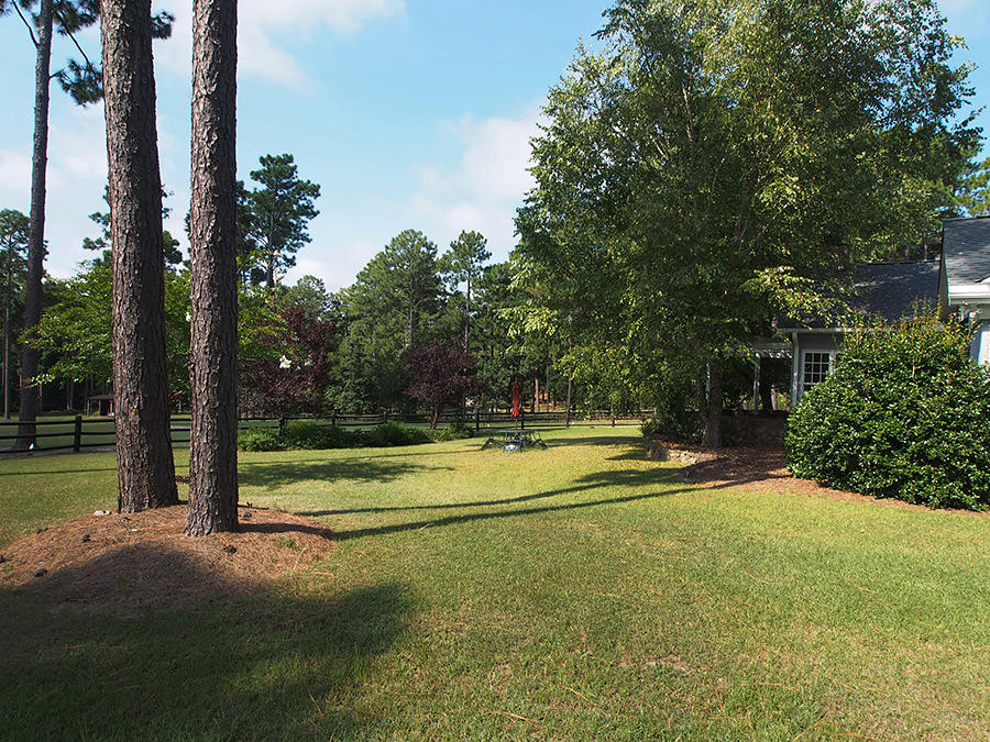 3705 Youngs Road Southern Pines, NC 28387 - Photo 31 of 36 Backyard