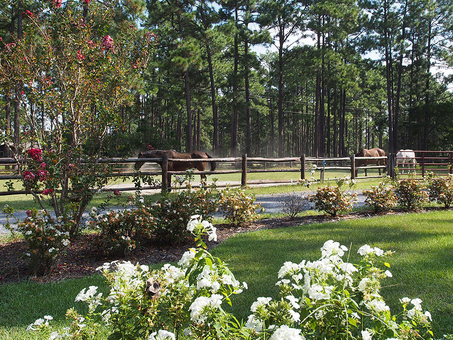3705 Youngs Road Southern Pines, NC 28387 - Photo 33 of 36 Front View