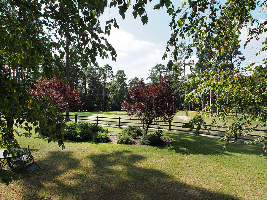 3705 Youngs Road Southern Pines, NC 28387 - Photo 34 of 36 Back View