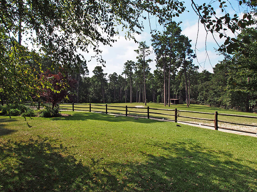 3705 Youngs Road Southern Pines, NC 28387 - Photo 35 of 36 Back Pasture