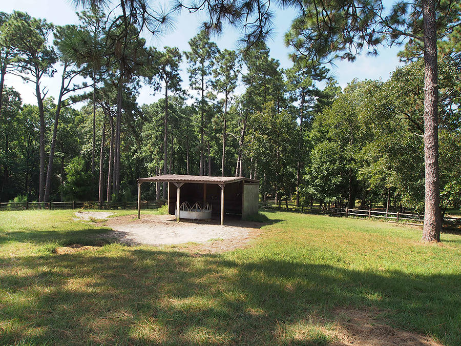 3705 Youngs Road Southern Pines, NC 28387 - Photo 5 of 36 with round bale feeder