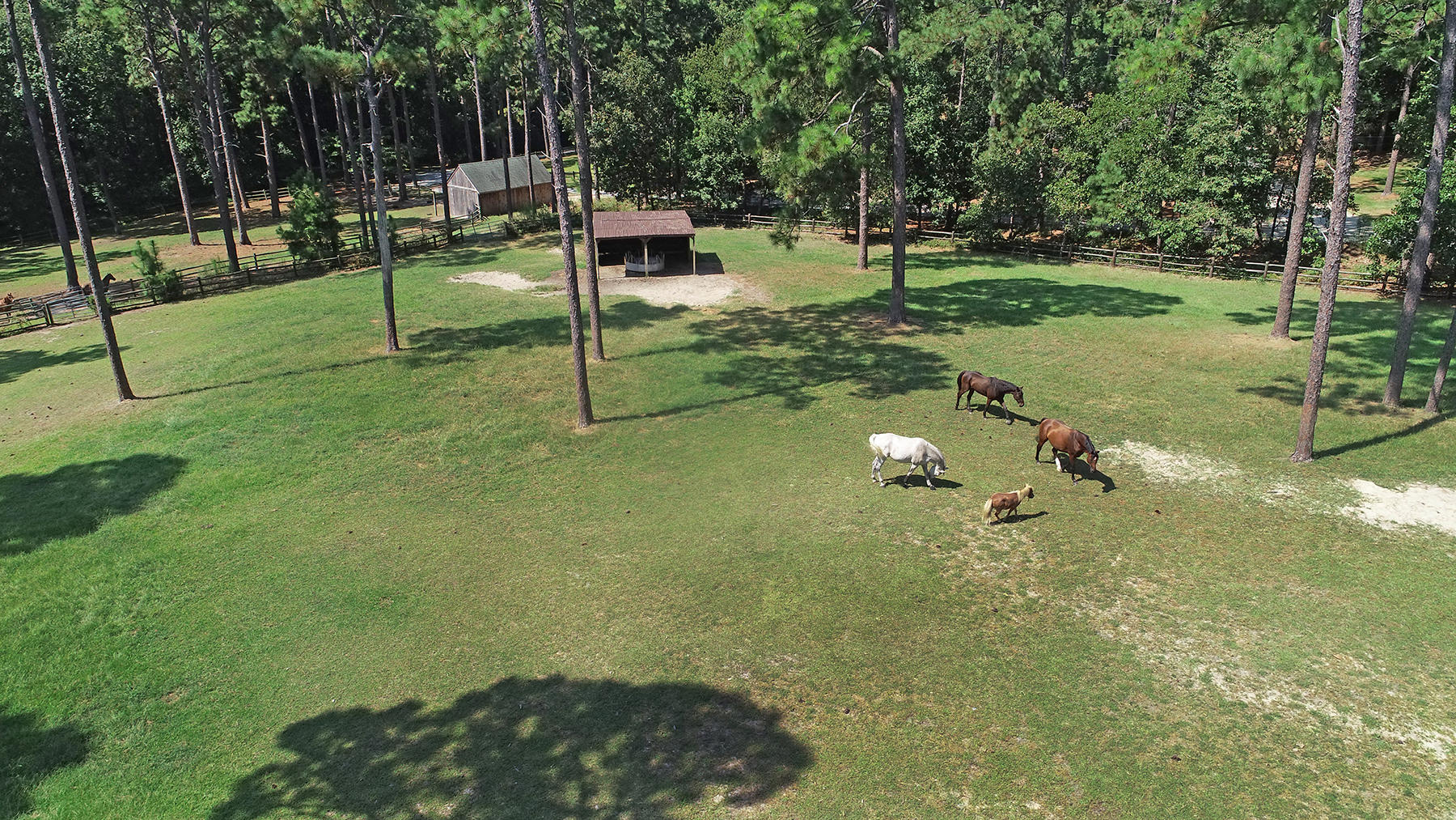 3705 Youngs Road Southern Pines, NC 28387 - Photo 6 of 36 Back Pasture