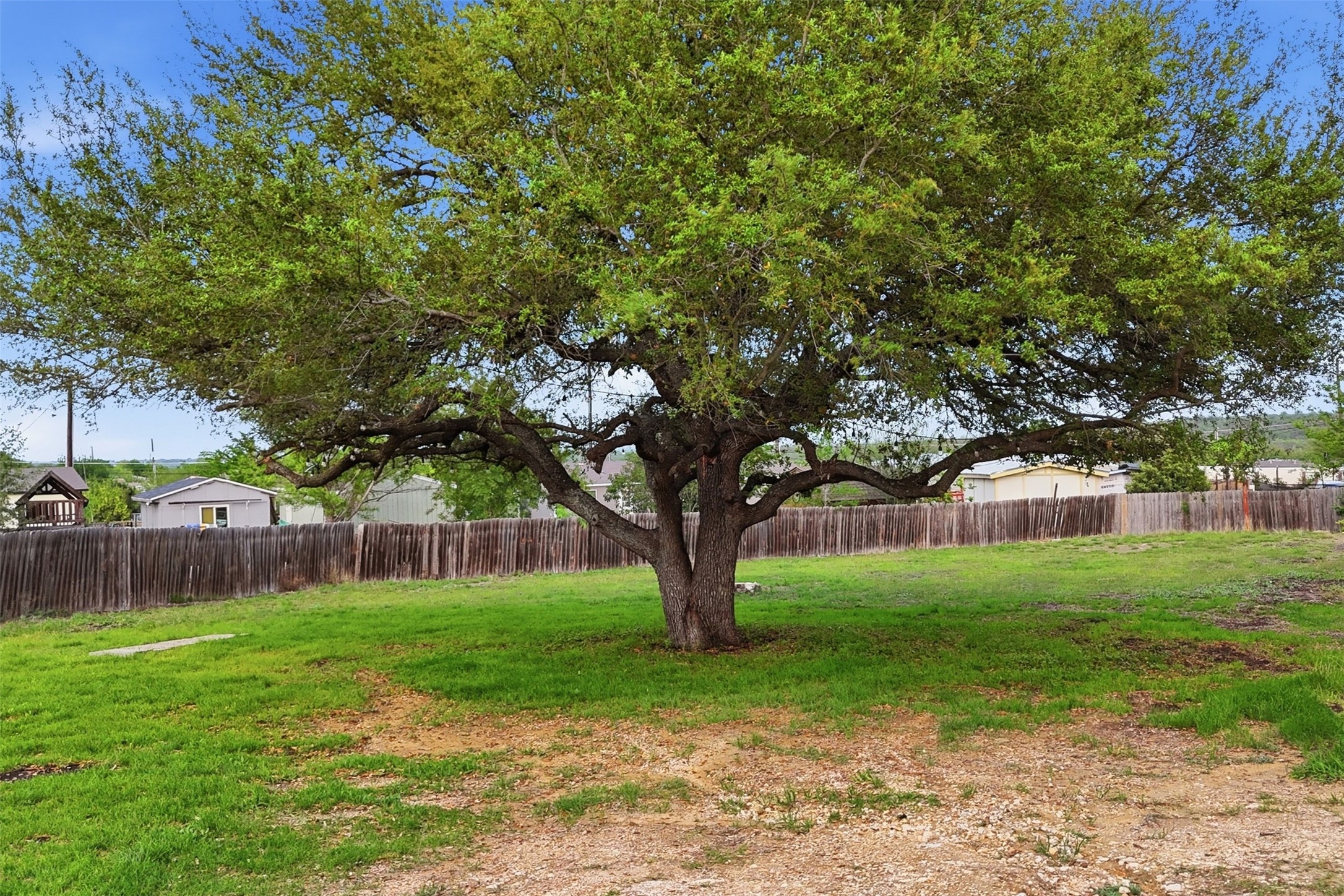 580 Railyard Drive Kyle, TX 78640 - Photo 19 of 20 The property features a large, mature tree providing ample shade, situated within a spacious yard with a mix of green grass and a gravel-like surface