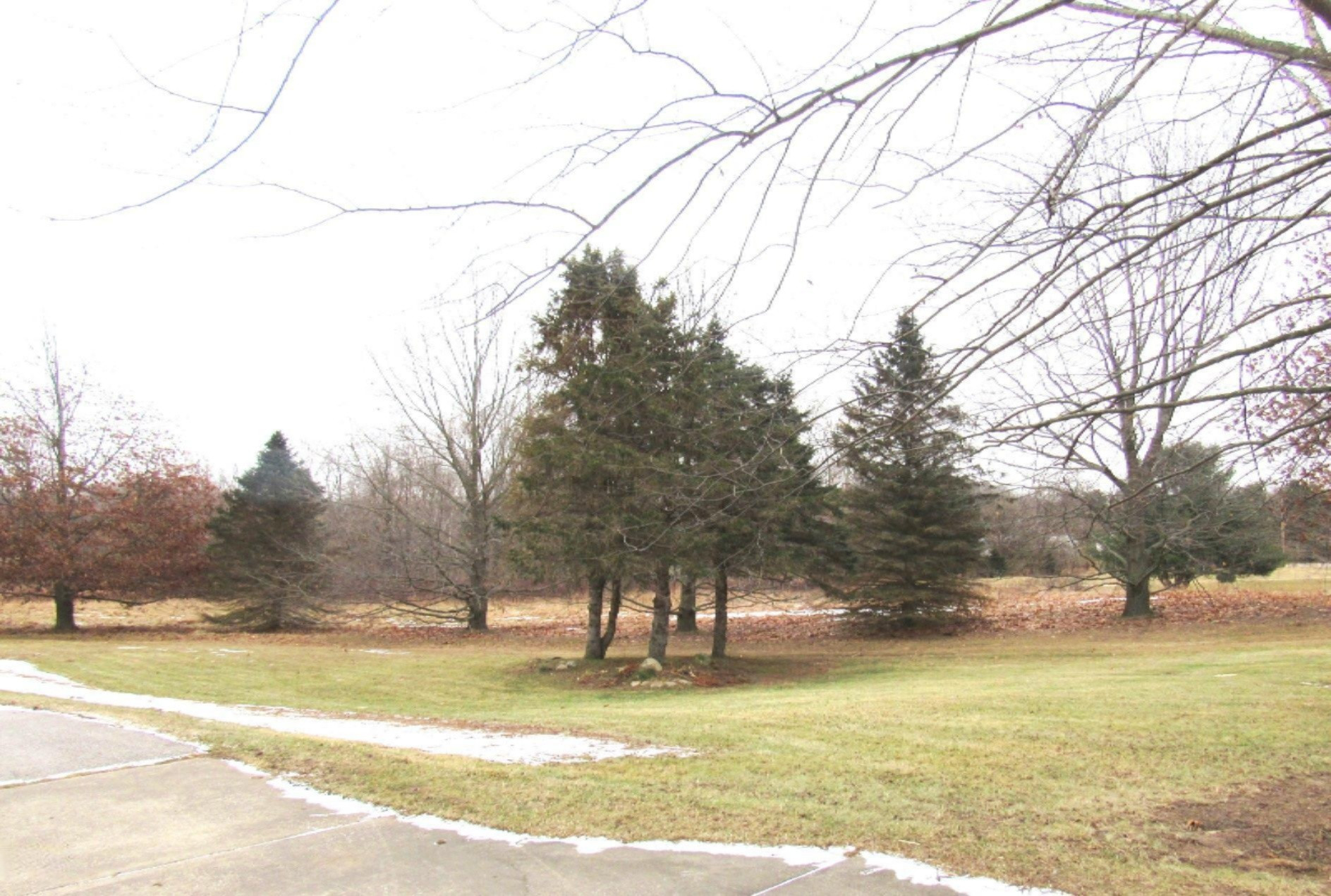 4906 Watson Road Eau Claire, MI 49111 - Photo 5 of 42 IMG_5292