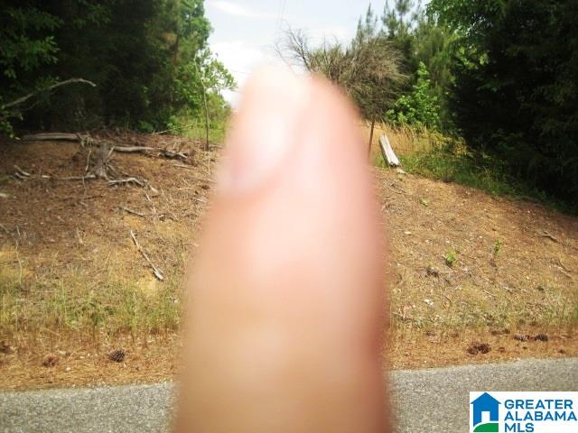 0 Sulphur Springs Road, Unit 10 ACRES Lincoln, AL 35096 - Photo 20 of 32