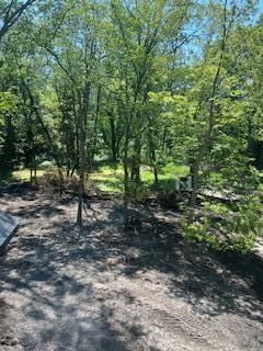 25955 Wildrose Lane Excelsior, MN 55331 - Photo 3 of 67