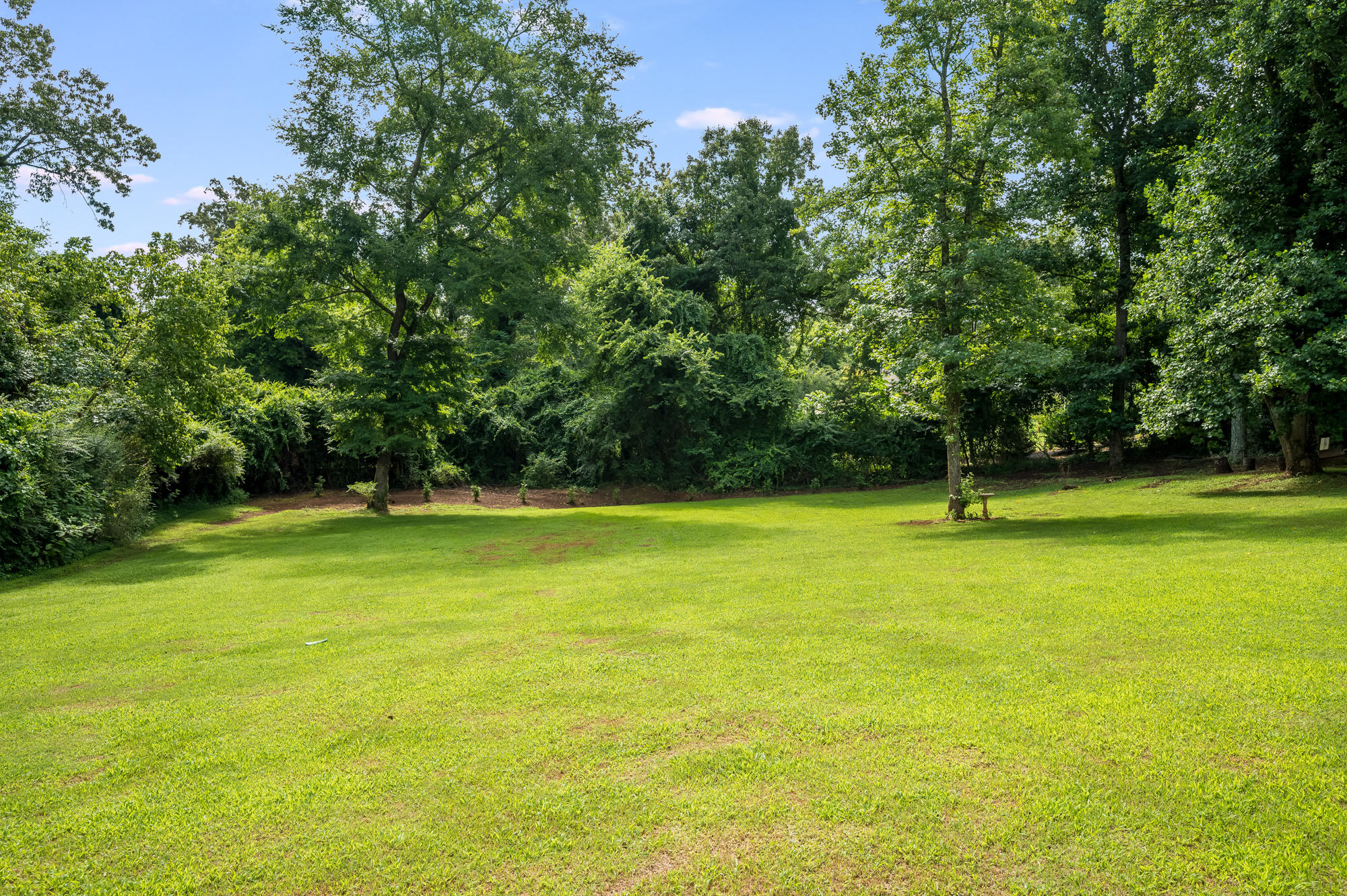 6420 Waconda Point Road Harrison, TN 37341 - Photo 34 of 44 6420 Waconda Pointe Rd