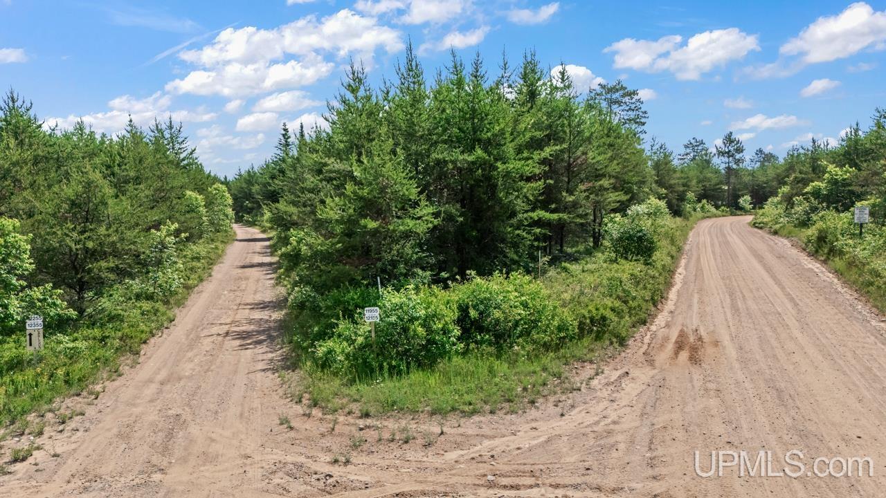 Tbd Bryan Creek Road Ishpeming, MI 49849 - Photo 13 of 16