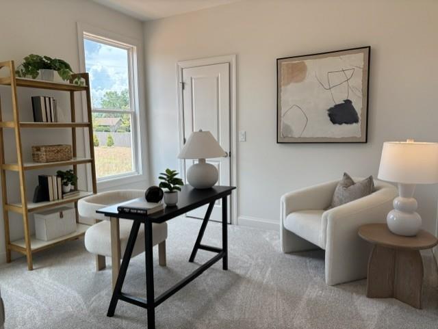 401 Edgewater Chase Canton, GA 30115 - Photo 20 of 46