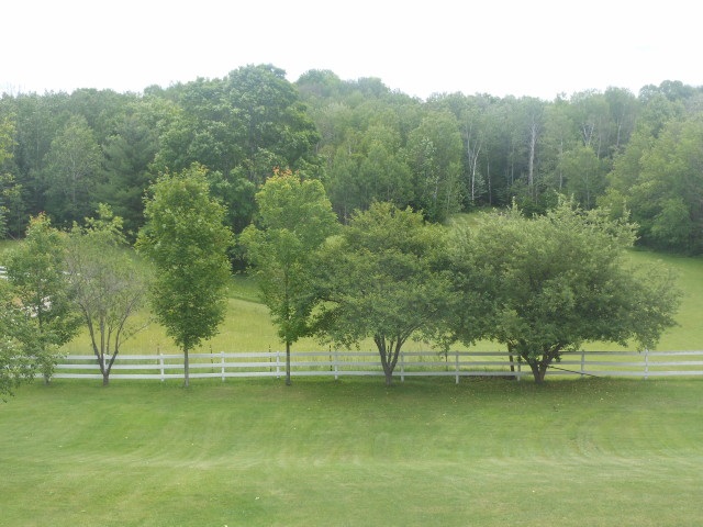 3735 Stillwagon Road West Branch, MI 48661 - Photo 9 of 26 1802226-8.JPG