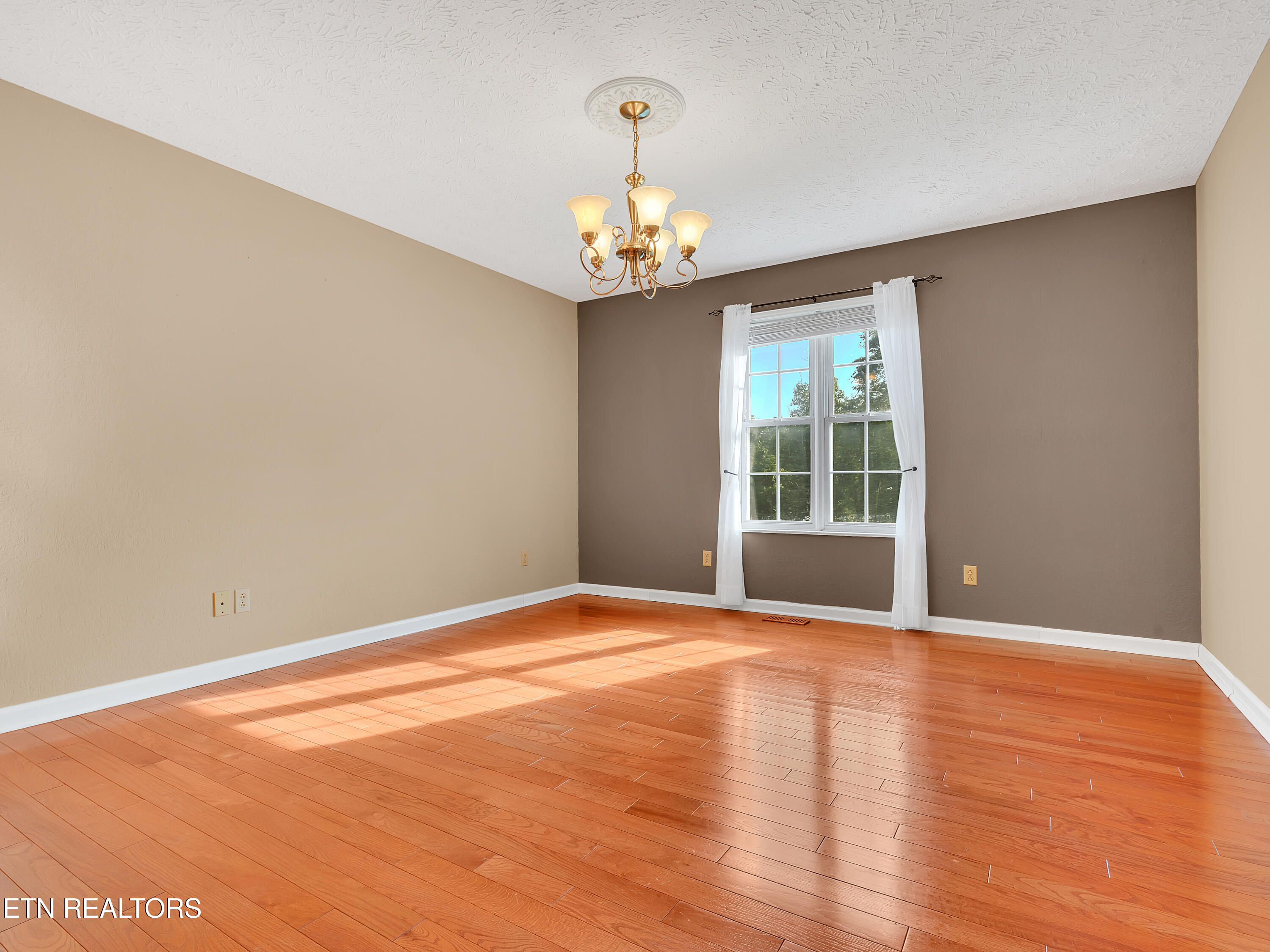 290 Whitaker Hollow Road Rocky Top, TN 37769 - Photo 19 of 51 41_40