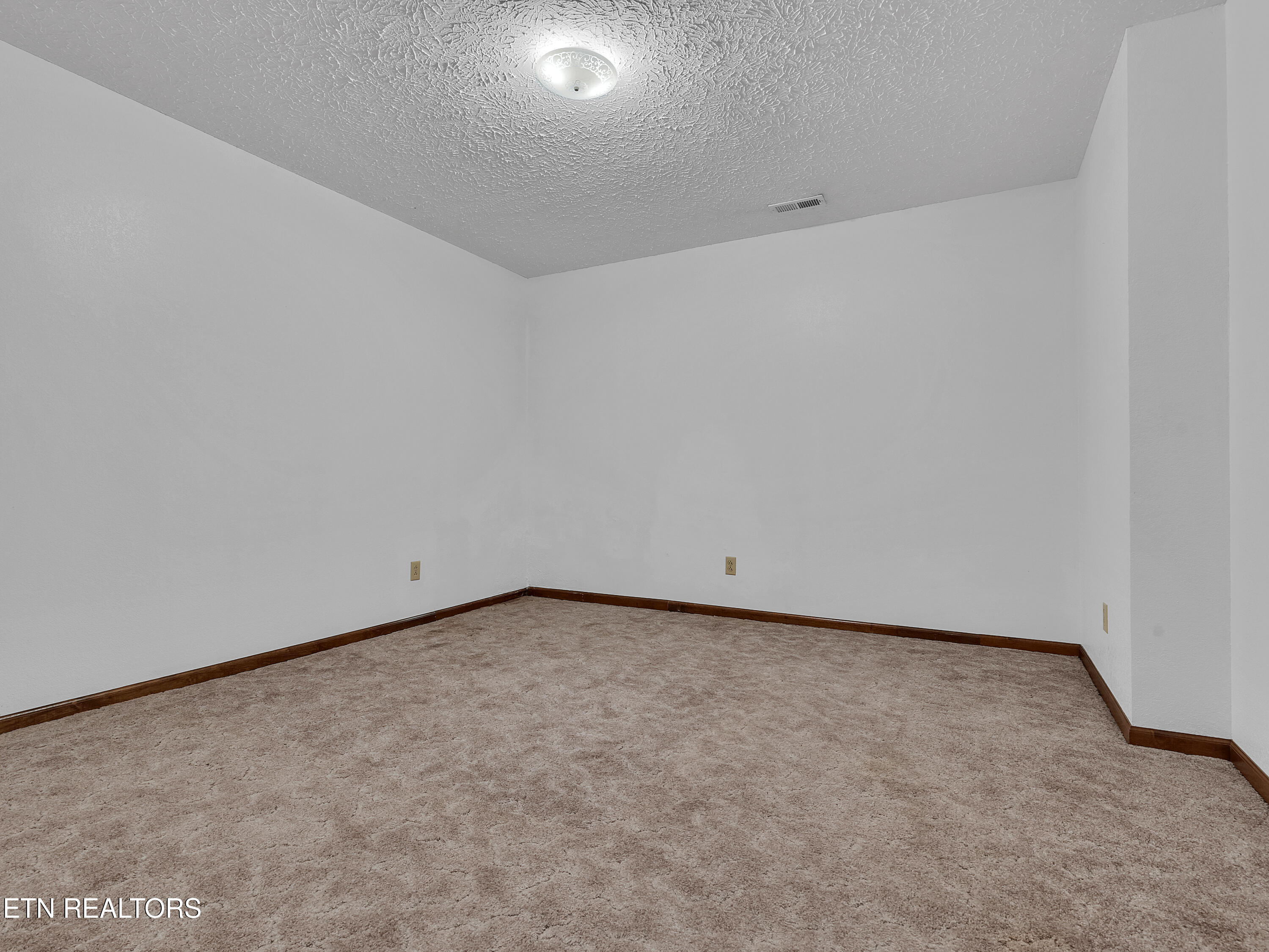 290 Whitaker Hollow Road Rocky Top, TN 37769 - Photo 38 of 51 24_30