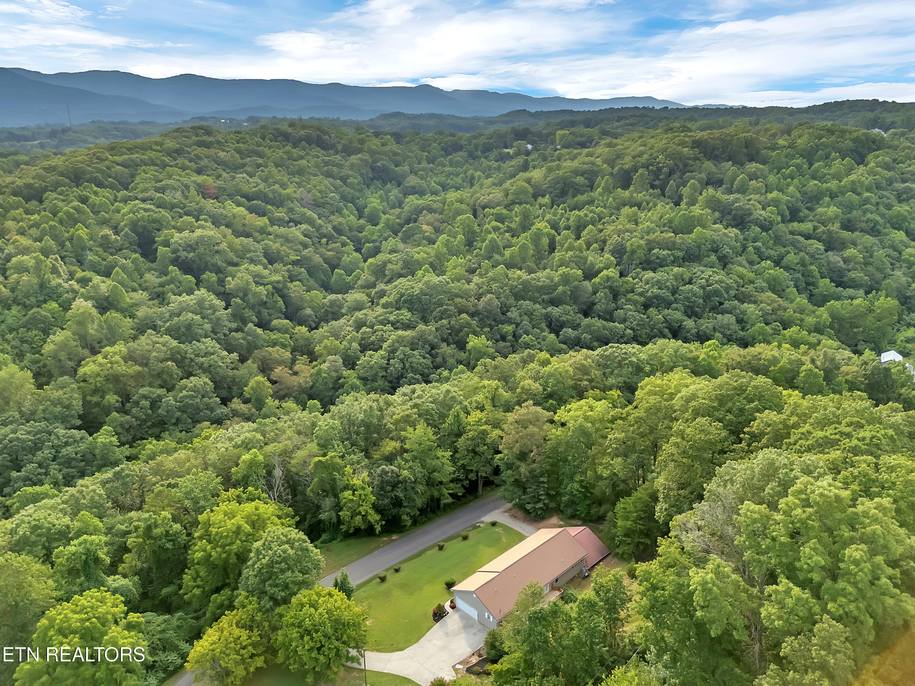 290 Whitaker Hollow Road Rocky Top, TN 37769 - Photo 45 of 51 46_08