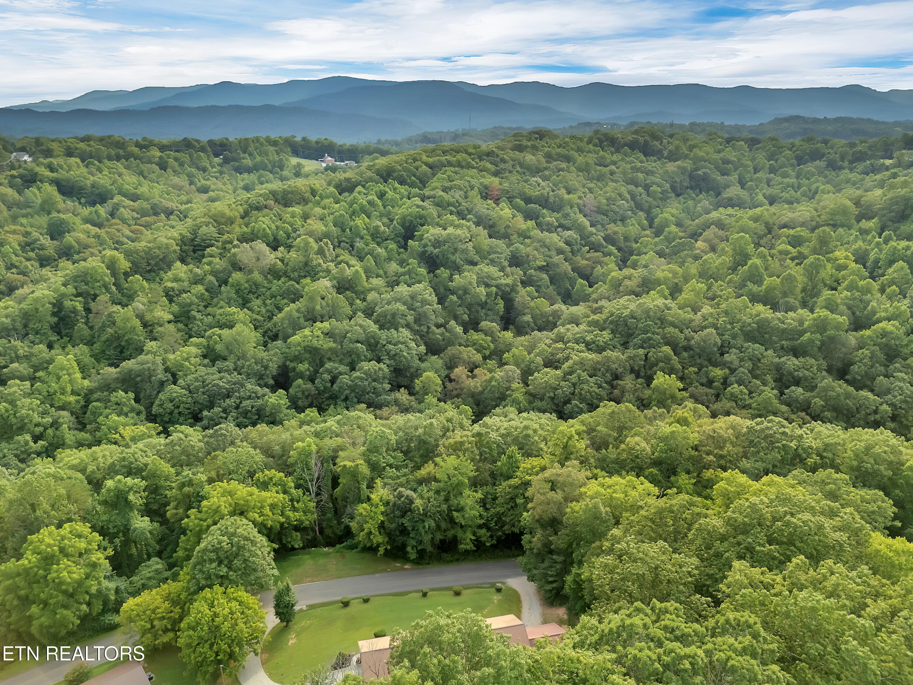 290 Whitaker Hollow Road Rocky Top, TN 37769 - Photo 46 of 51 47_09