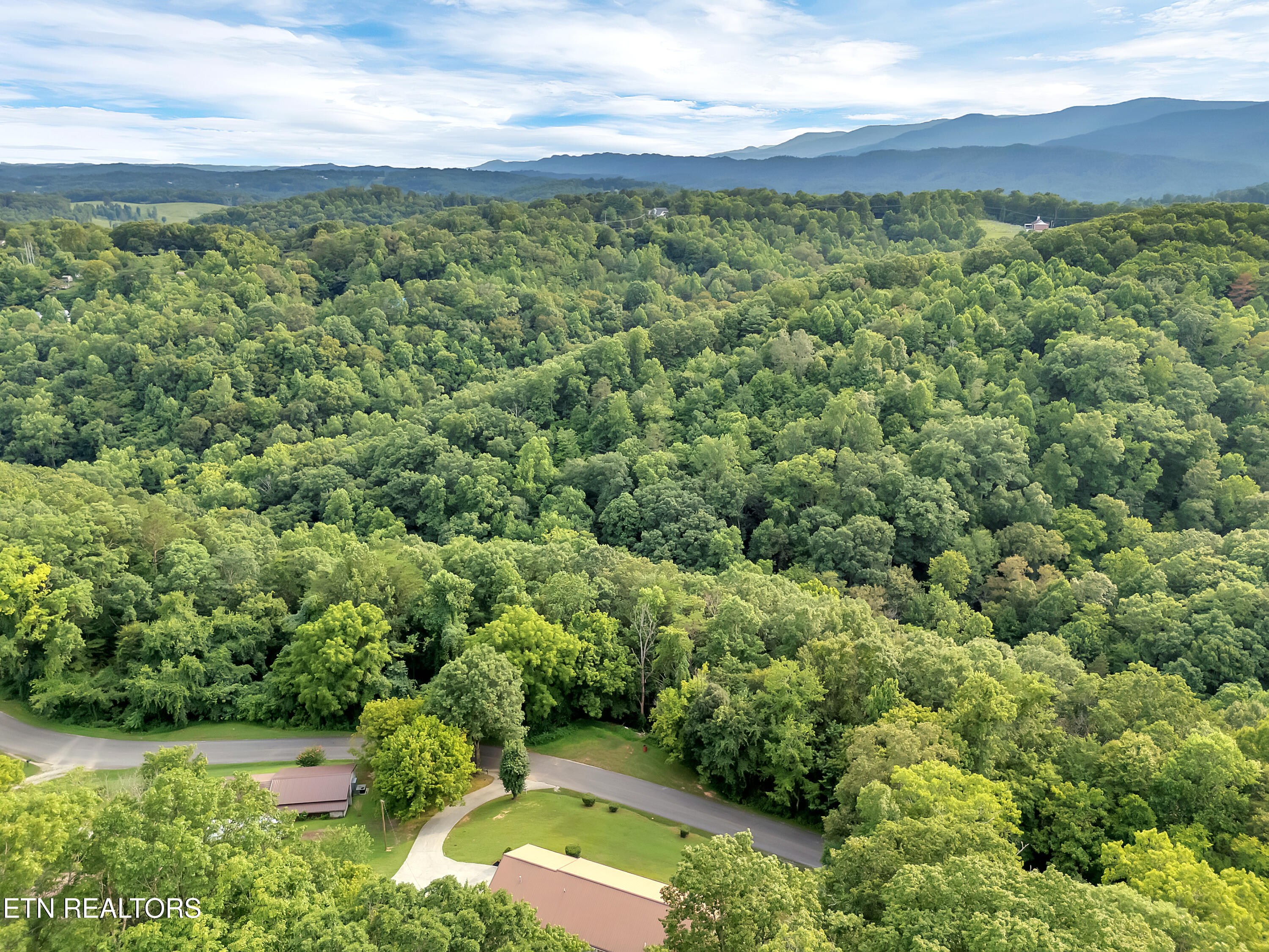 290 Whitaker Hollow Road Rocky Top, TN 37769 - Photo 48 of 51 49_11